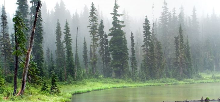Industrial / Organizational Psychology – The Practice of Misty River Consulting