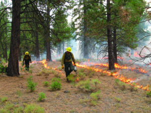 Prescribed-burn-in-Klamath-National-Forest-CA-by-E-Knapp